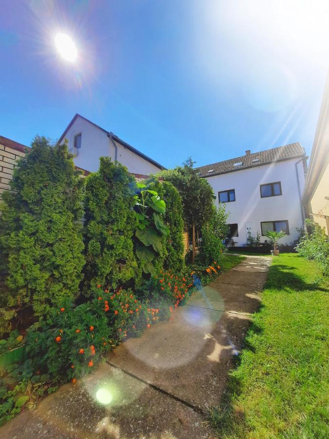 Apartmani Sunflower Sremski Karlovci Exterior photo
