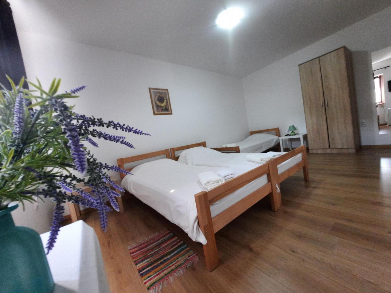 Apartmani Sunflower Sremski Karlovci Room photo