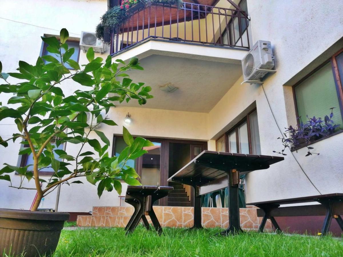 Apartmani Sunflower Sremski Karlovci Exterior photo
